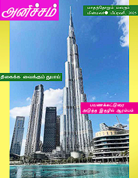 Anicham Feb 2025