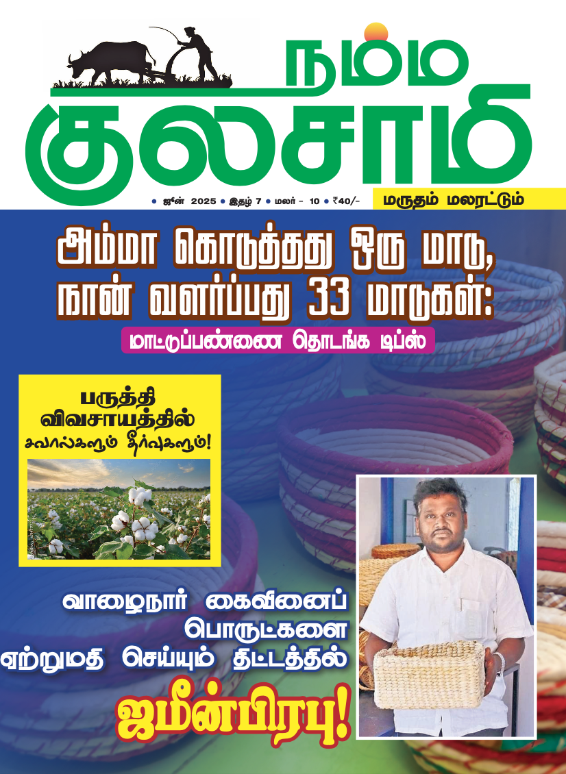 Namma Kulasamy - June - 2025