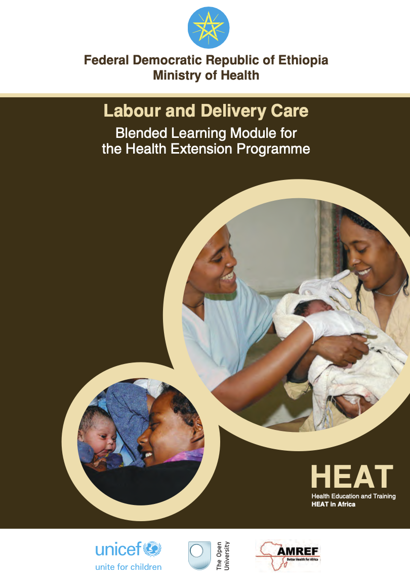 Labour and Delivery Care