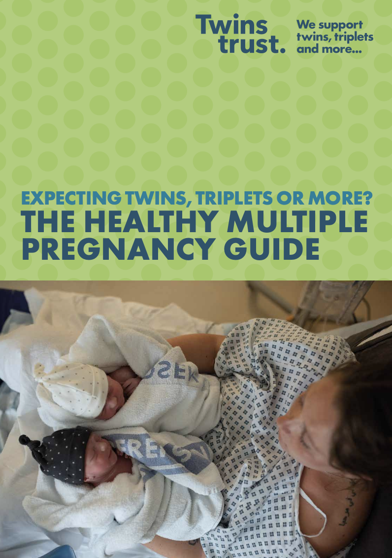 The Healthy Multiple Pregnancy Guide