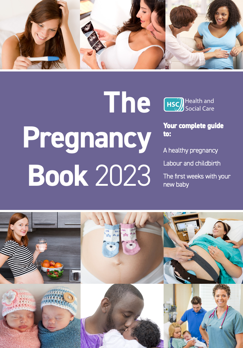 The Pregnancy Book 2023