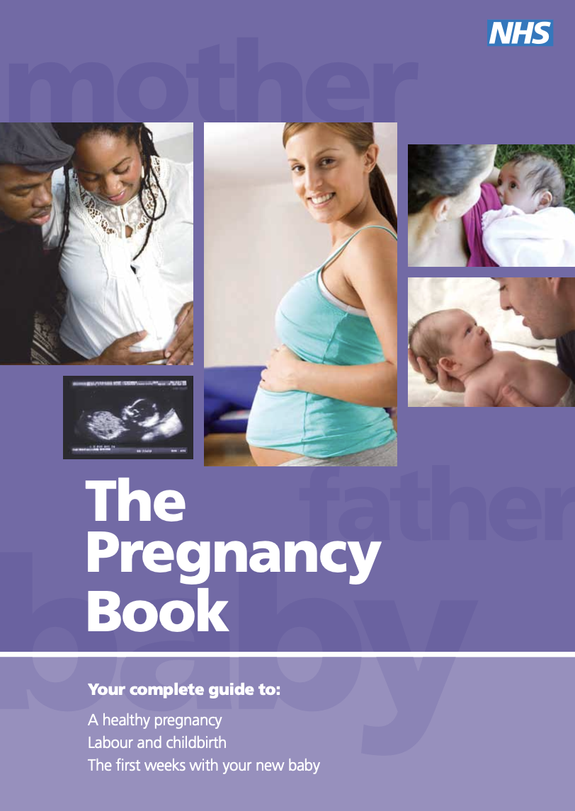 The Pregnancy Book