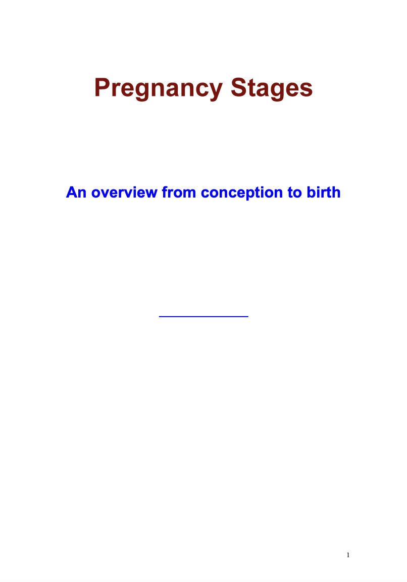Pregnancy Stages