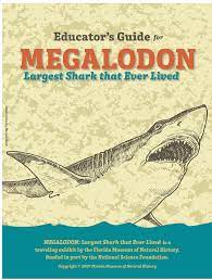 Megalodon: Largest Shark that Ever Lived