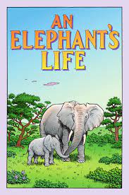 An Elephant's Life